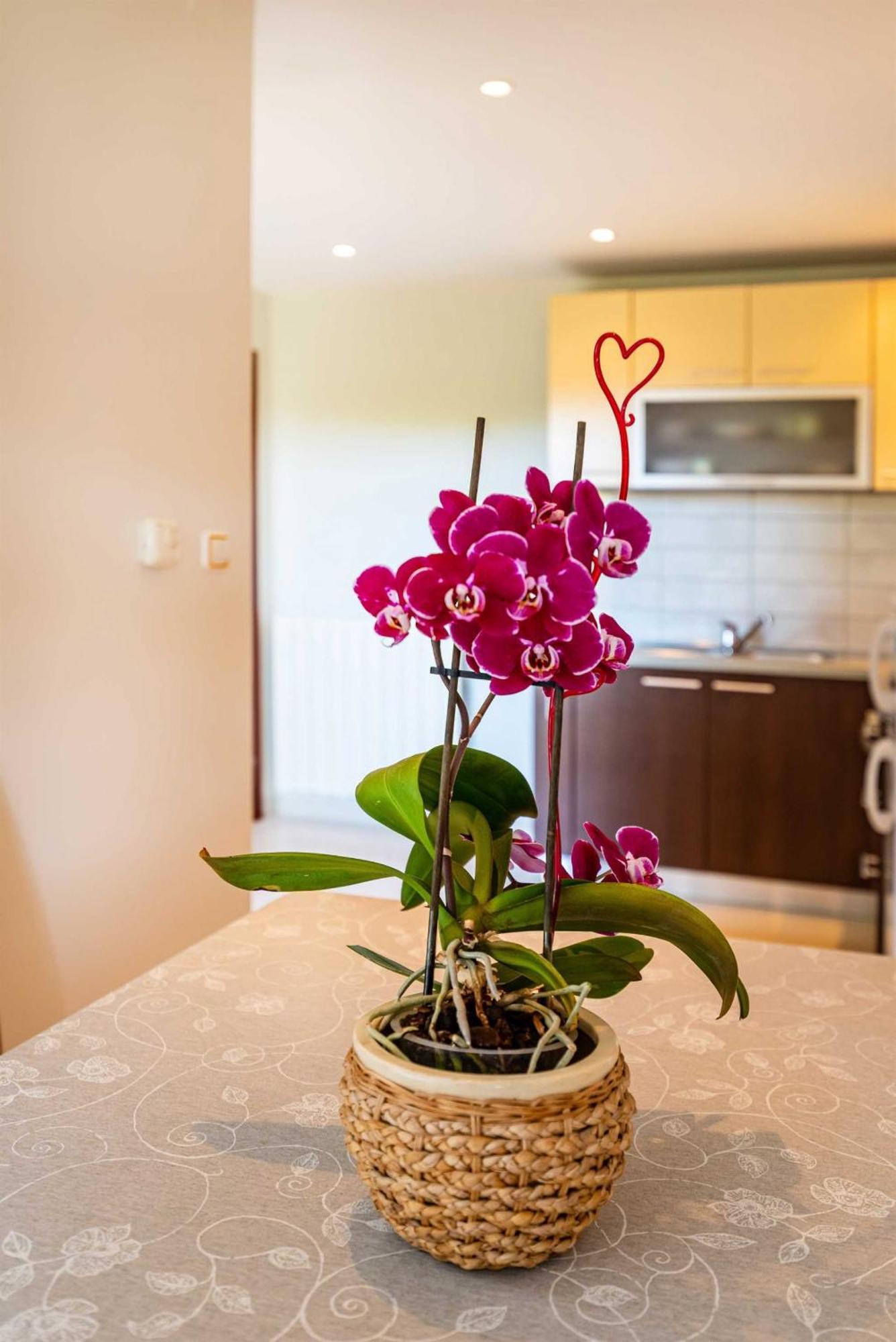 פריבלאקה Apartment House Simoni With Pool, Zadar County מראה חיצוני תמונה